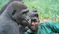 Bama der Gorillamann - Abenteuer in Kamerun